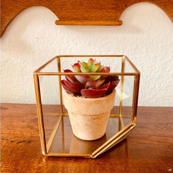 Boho Succulent Terrarium Planter - Picture 3 of 5